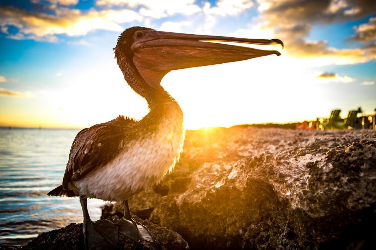 Ragged Edge & Marina Resort Islamorada